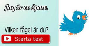 Vilken fågel är du?