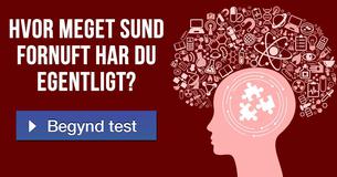 Hvor meget sund fornuft har du egentligt?