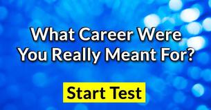 I Got Lawyer! What Career Were You Really Meant For?
