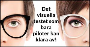 Syntestet som bara piloter klarar av!