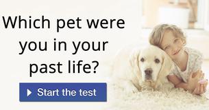 Which pet were you in your past life?