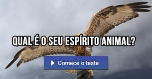 Qual é o seu espírito animal?