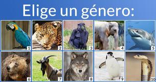 ¿Qué mezcla de animales eres?