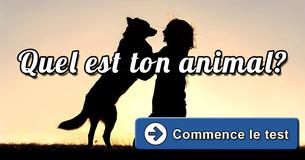 Quel est ton animal domestique idéal?