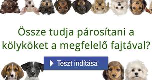 Össze tudja párosítani a kölyköket a megfelelő fajtával?