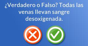 ¿Puedes responder preguntas fundamentales acerca de la anatomía humana?