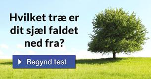 Hvilket træ er dit sjæl faldet ned fra?