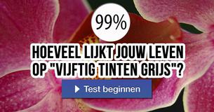 Hoeveel lijkt jouw leven op "Vijftig Tinten Grijs"?