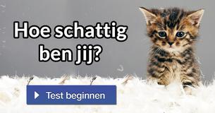 Hoe schattig ben jij?