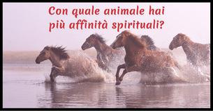 Con quale animale hai più affinità spirituali?