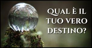 Qual è la tua vera vocazione?