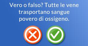 Sei in grado di rispondere a queste domande basilari di anatomia?