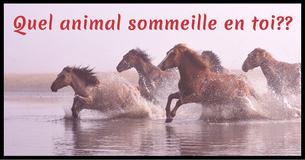 Quel animal sommeille en toi ?