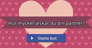 Hur mycket älskar du din partner?