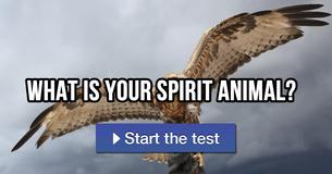 What is your spirit animal?