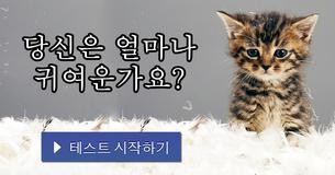 당신은 얼마나 귀여운가요?