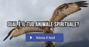 Qual è il tuo animale spirituale?