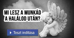 Mi lesz a munkád a halálod után?