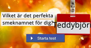 Vilket är det perfekta smeknamnet för dig?