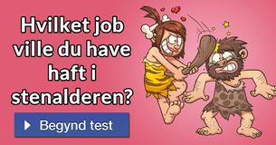 Hvilket job ville du have haft i stenalderen?