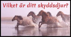 Vilket är ditt skyddsdjur?