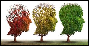 How Mentally Healthy Are You?