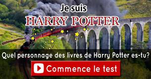 Quel personnage des livres de Harry Potter es-tu?