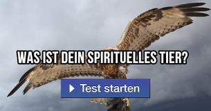 Was ist dein spirituelles Tier?