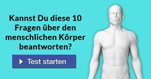 Kannst Du diese 10 Fragen über den menschlichen Körper beantworten?