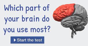 Which part of your brain do you use most?