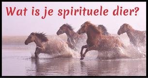 Wat is je spirituele dier? 