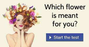 Which Flower Is Meant Just For You?