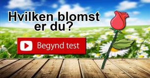 Hvilken blomst er du? 
