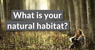 What is your natural habitat?
