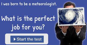 What is the perfect job for you?