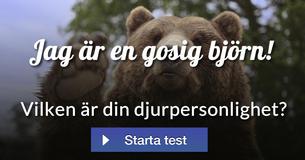 Vilken är din djurpersonlighet?