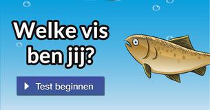 Welke vis ben jij?