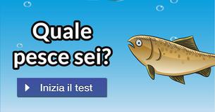 Quale pesce sei?