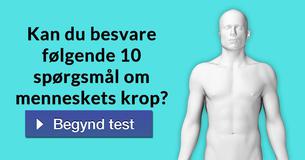 Kan du besvare følgende 10 spørgsmål om menneskets krop?