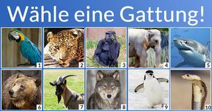 Welche Tier-Mischung bist Du?