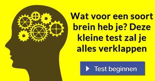 Wat voor een soort brein heb je? Deze kleine test zal je alles verklappen