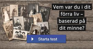 Vem var du i dit förra liv – baserad på dit minne? 