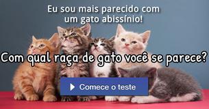 Com qual raça de gato você se parece?
