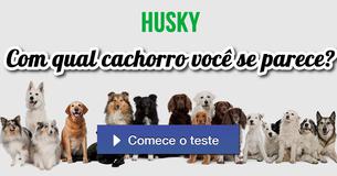 Com qual cachorro você se parece?