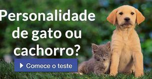 Personalidade de gato ou cachorro?