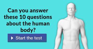 Can you answer these 10 questions about the human body?