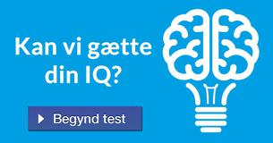 Kan vi gætte din IQ?