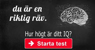 Hur högt är ditt IQ?