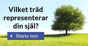 Vilket träd representerar din själ?
