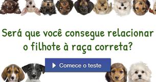 Será que você consegue relacionar o filhote à raça correta?
